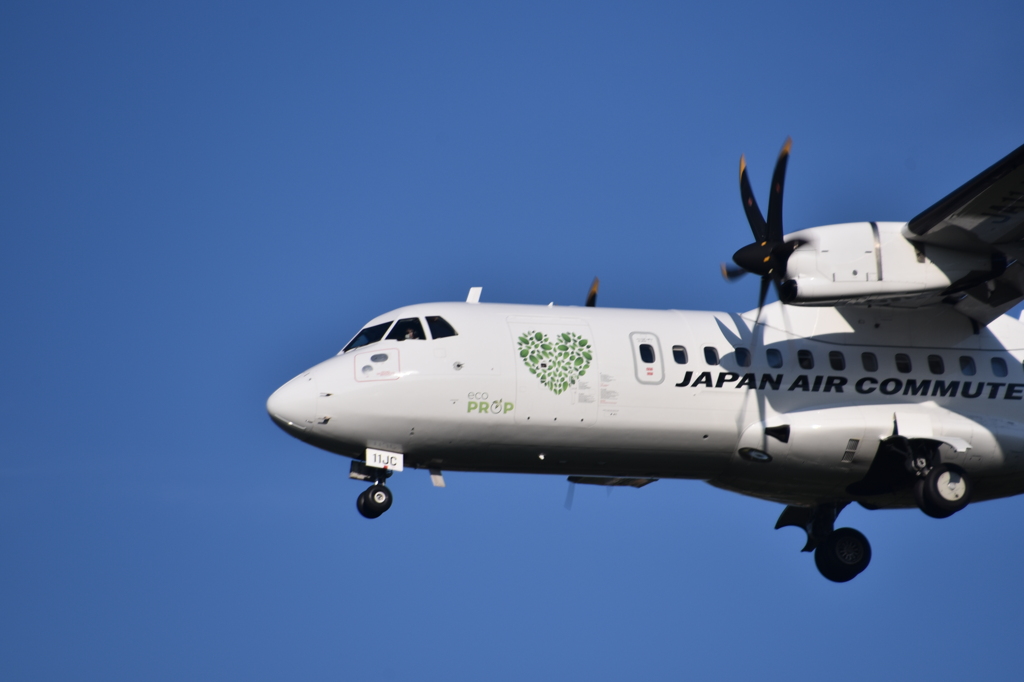 JAL 754   「オリックス優勝おめでとう！」