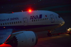 ANA 441