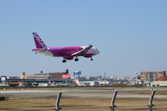 PEA 18