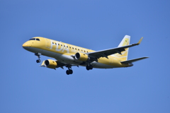 FDA 241