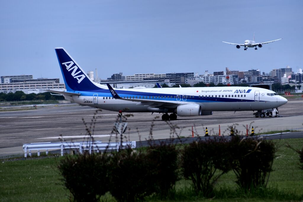 ANA 870
