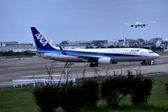 ANA 870