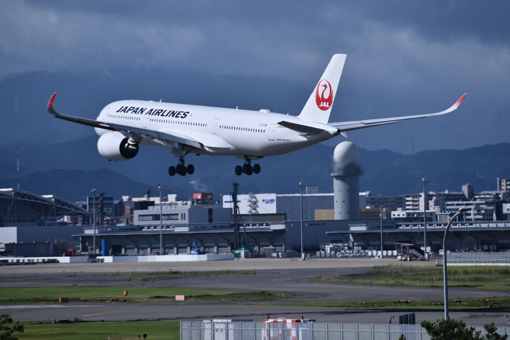 JAL 699