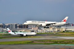 JAL 469