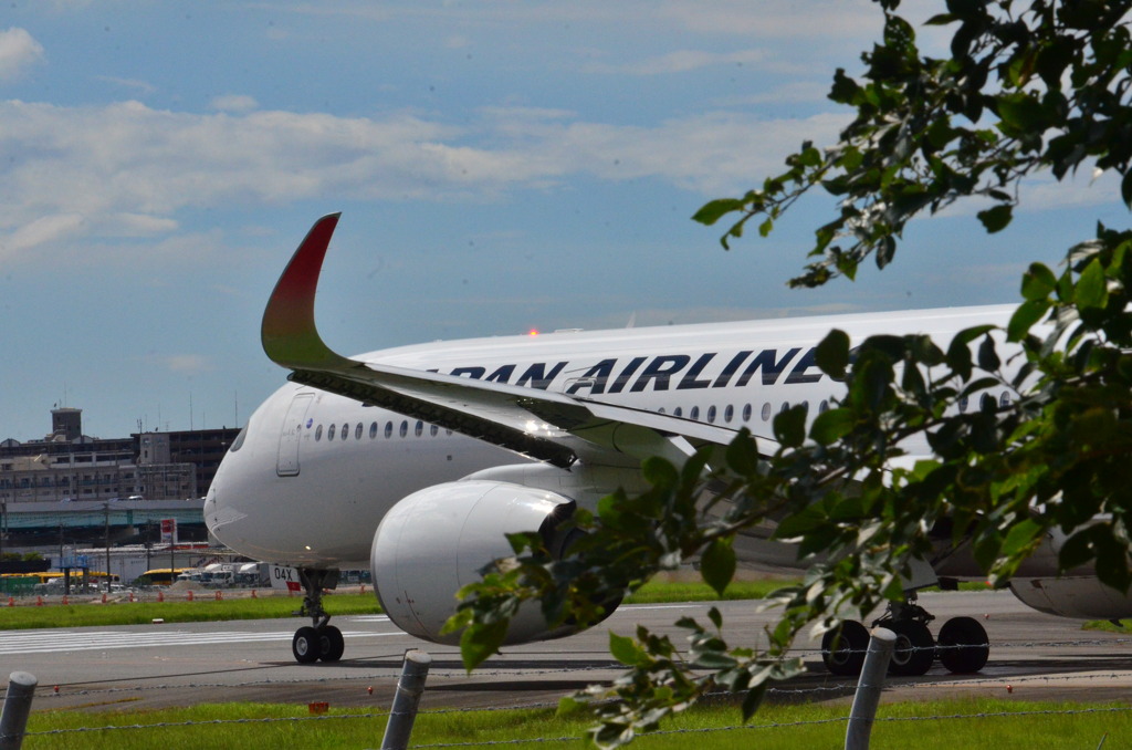 JAL 263