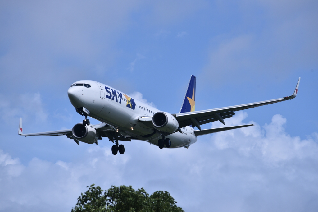 SKY 230