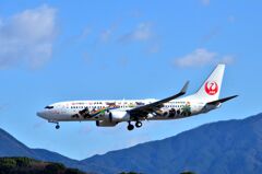 JAL 410