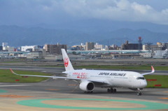 JAL 24