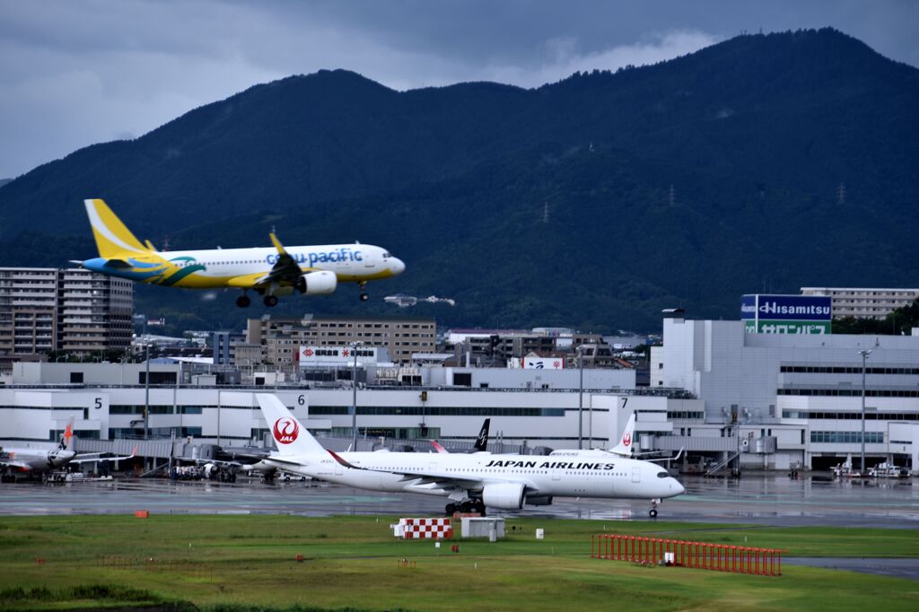 JAL 862