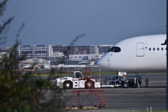 JAL 607