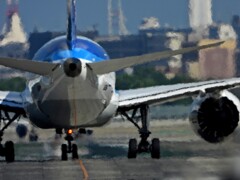 ANA 1313