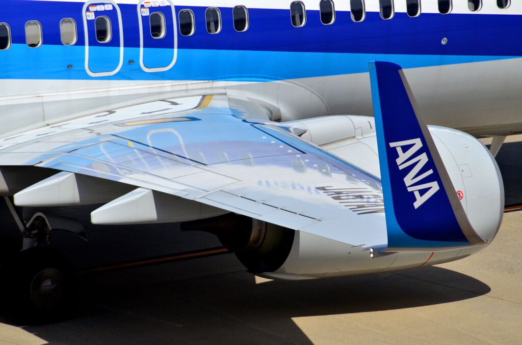 ANA 167