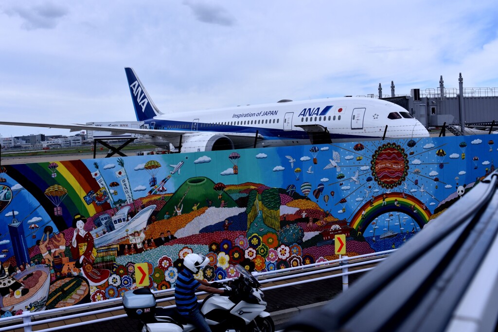 ANA 956