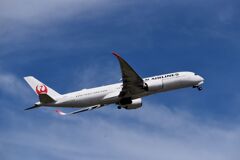 JAL 1245