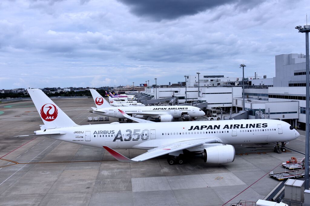 JAL 691