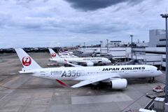 JAL 691