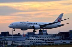 JAL 359