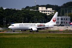 JAL 1257