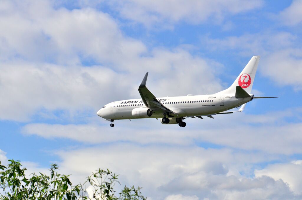JAL 276