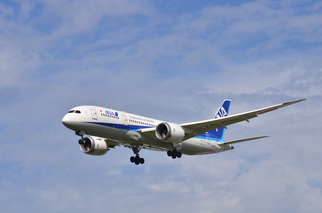 ANA 135