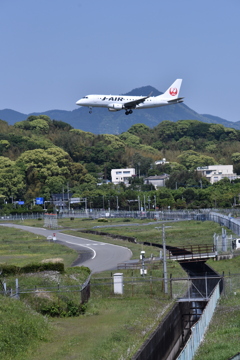 JAL 565