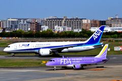 ANA 126