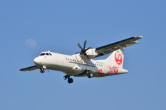 JAL 134