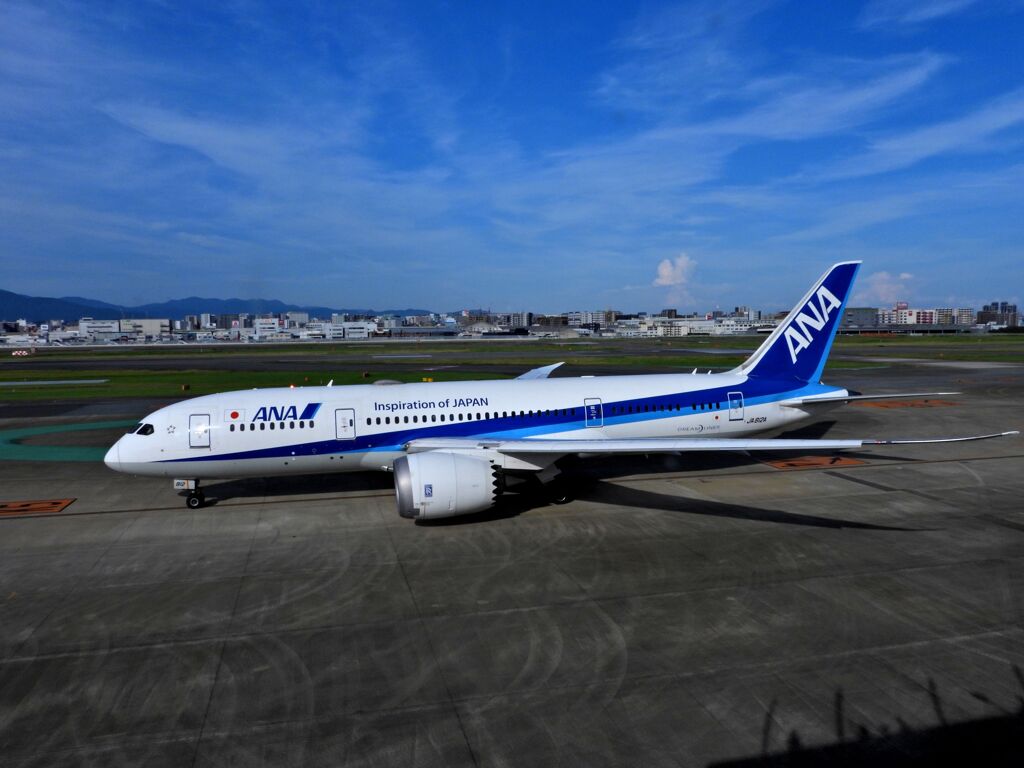 ANA 1309