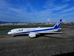 ANA 1309