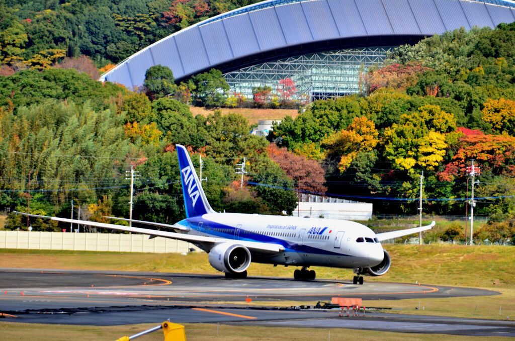 ANA 407