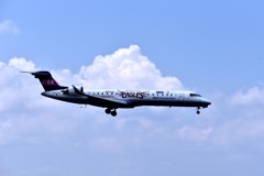 ANA 56５