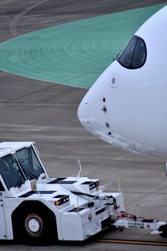 JAL 745