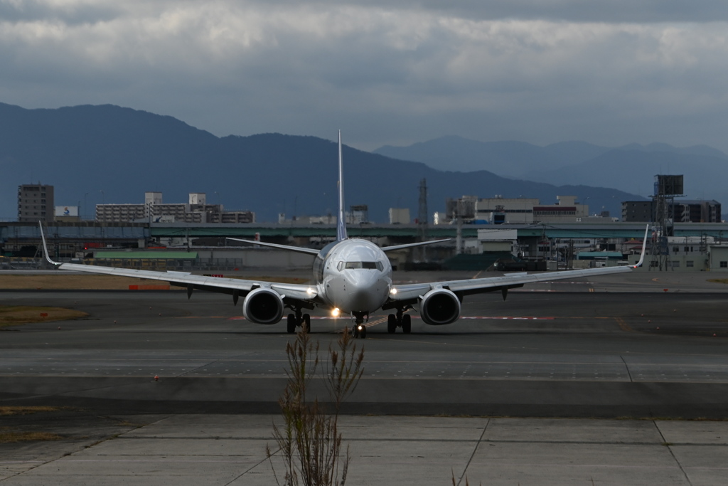 「憎みきれない 雪の玉」