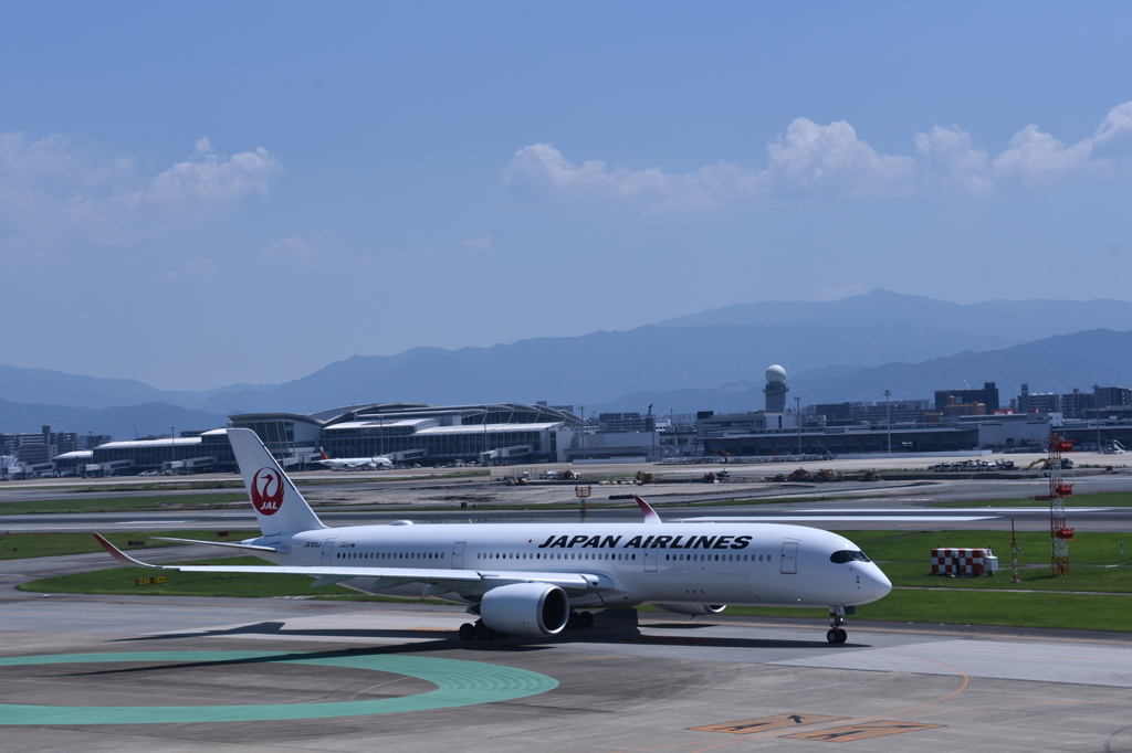 JAL 646