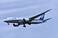 ANA 890