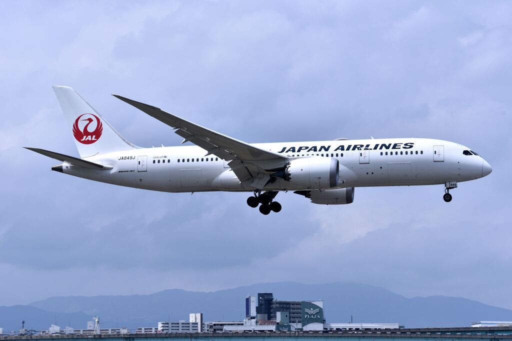 JAL 809