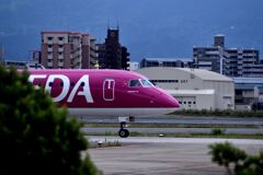 FDA 238