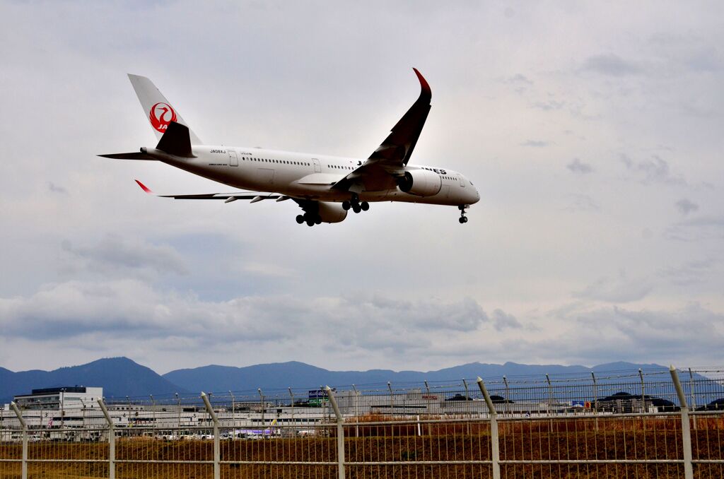 JAL 560