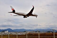 JAL 560