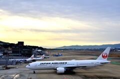 JAL 425