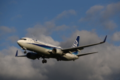 ANA 990