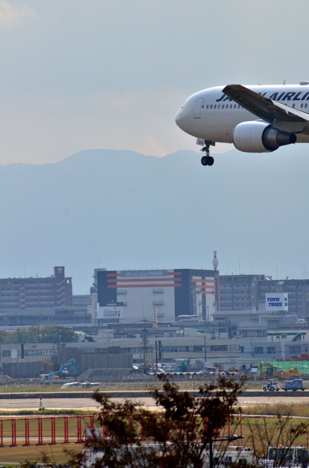 JAL 366