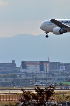 JAL 366