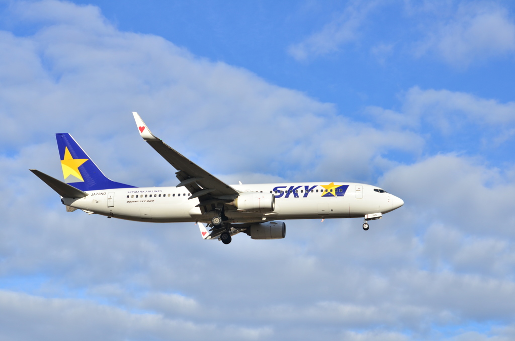 SKY 238