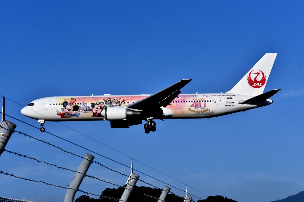 JAL 1059