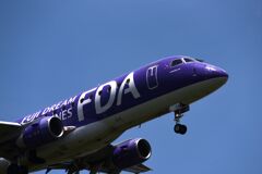 FDA 293
