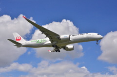 JAL 258