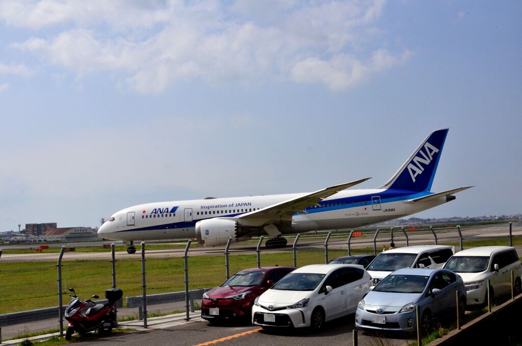 ANA 133