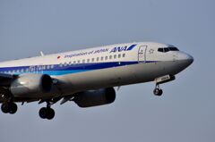 ANA 490