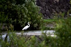 らんだむ。らんだむ。ラン！ラン！ラン！その二